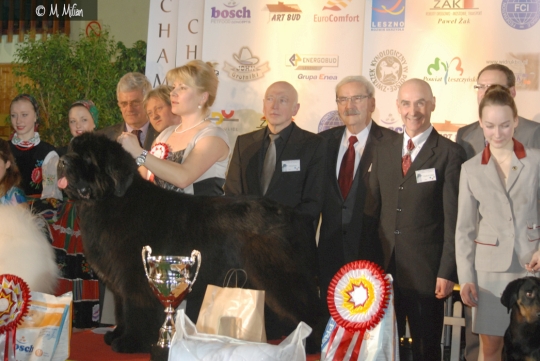 Wystawa Championw - Champion of Champions - Leszno, 24.02.2013