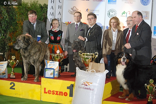 Wystawa Championw - Champion of Champions - Leszno, 24.02.2013