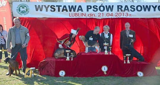 ZWYCIĘZCA Grupy VI - Lublin 2013