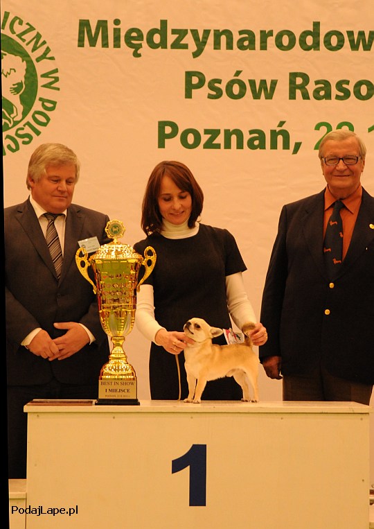 Best In Show - Pozna 2011