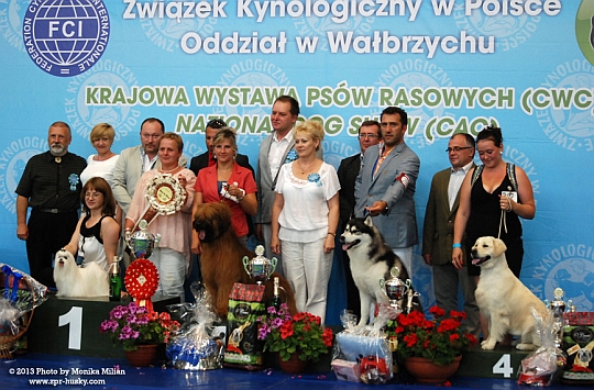 54 Krajowa Wystawa Psw <br />
<br />
Rasowych w wiebodzicach, 28.07.2013