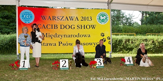 MIDZYNARODOWA WYSTAWA PSW RASOWYCH w Warszawie 2013