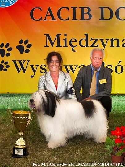 MIDZYNARODOWA WYSTAWA PSW RASOWYCH w Warszawie 2013