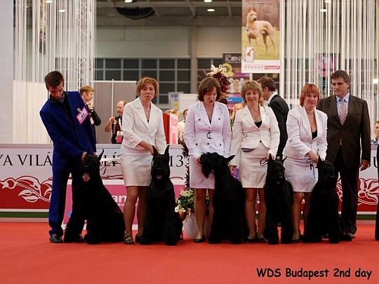 WORLD DOG SHOW - Światowa Wystawa Psów - Budapeszt 2013 - Najpiękniejsza grupa hodowlana