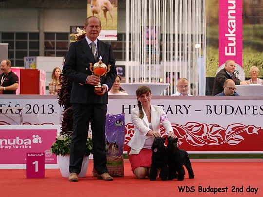 WORLD DOG SHOW - Światowa Wystawa Psów - Budapeszt 2013 - Najpiękniejsza para psów