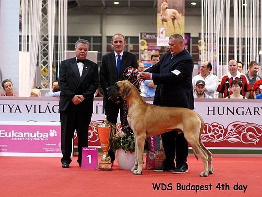 WORLD DOG SHOW - wiatowa Wystawa Psw - Budapeszt 2013 - Best Junior