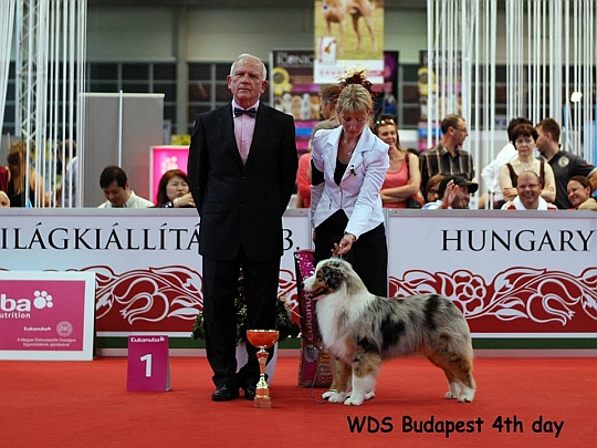 WORLD DOG SHOW - wiatowa Wystawa Psw - Budapeszt 2013 - Zwycizca grupy I - juniory