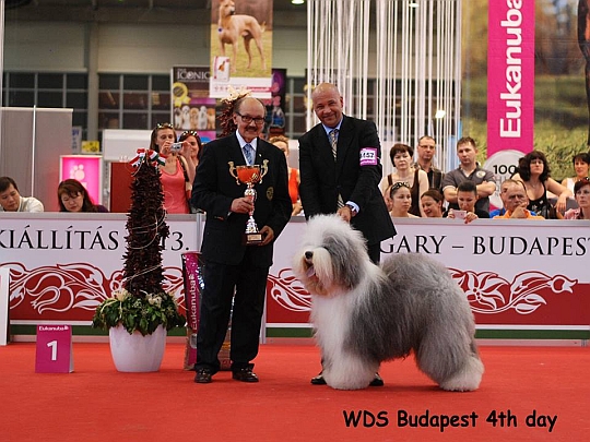 WORLD DOG SHOW - wiatowa Wystawa Psw - Budapeszt 2013 - Zwycizca grupy I