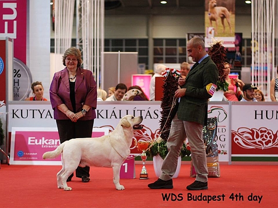 WORLD DOG SHOW - wiatowa Wystawa Psw - Budapeszt 2013 - Zwycizca grupy VIII