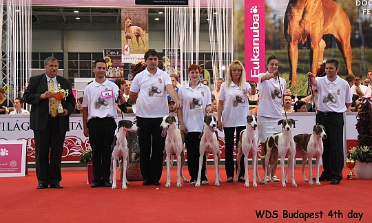 WORLD DOG SHOW - wiatowa Wystawa Psw - Budapeszt 2013 - Best Progeny Group
