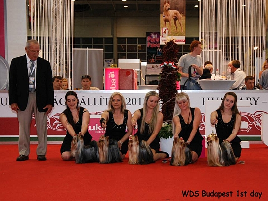 WORLD DOG SHOW - Światowa Wystawa Psów - Budapeszt 2013 - Najpiękniejsza grupa hodowlana