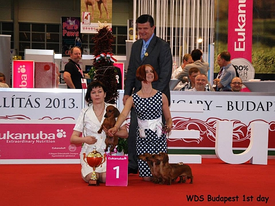 WORLD DOG SHOW <br />
<br />
- Światowa Wystawa Psów - Budapeszt 2013 - Best Progeny Group