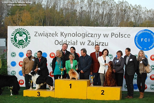 XXXII Krajowa Wystawa Psw Rasowych - Zabrze, 13.10.2013