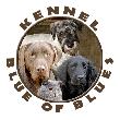 Kennel Blue of Blues