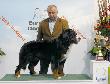 ODA O'ZANDRINA av Hiselfoss - European Winner '08 - European Dog Show Budapest (H)